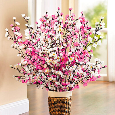 Bewerbung des Bereiches Kunstpflanzen