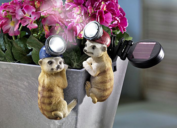 Solar-Topf-Deko "Erdmännchen", 2er-Set 