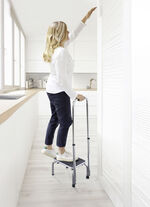 Trittstufe mit Haltegriff 