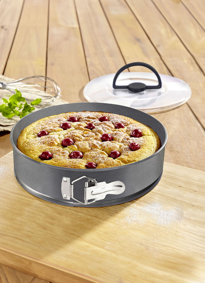 Springform mit Transportdeckel 