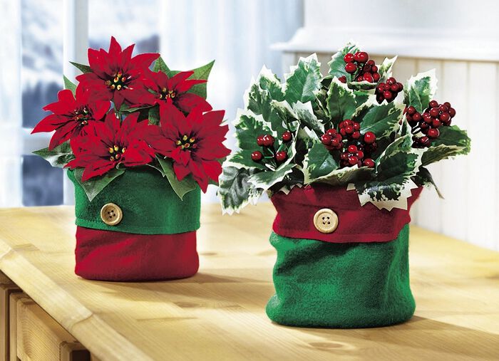 Winterblüher, 2er-Set 