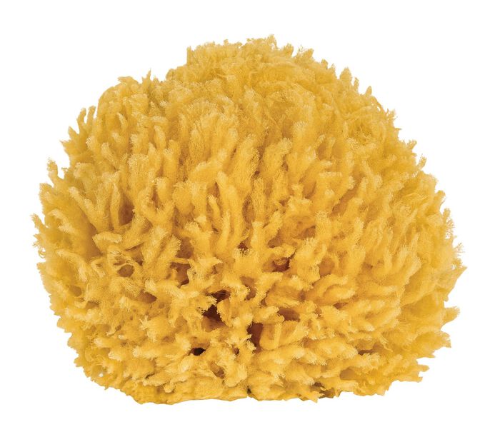 Badeschwamm aus nat&uuml;rlichem Material 