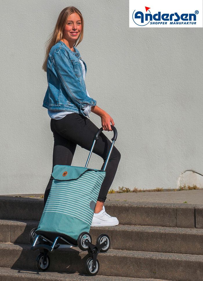 Leichter und robuster Einkaufsroller von Andersen 