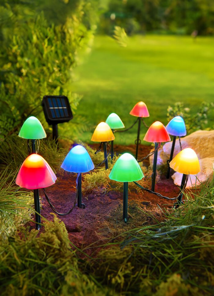 Solar-Pilze, 10-teilig 