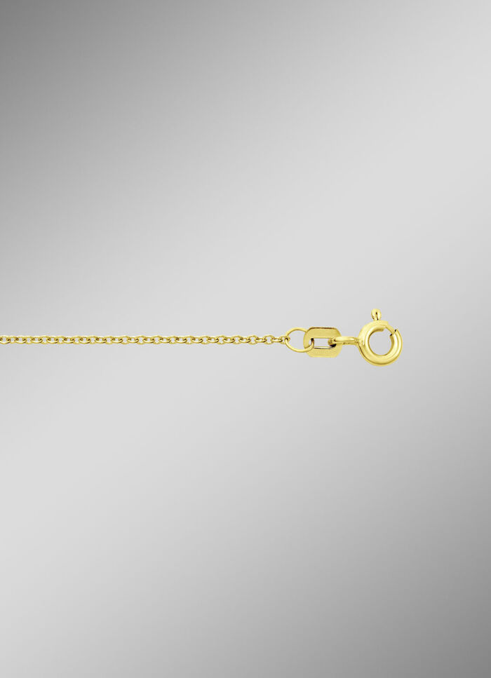 Ankerkette aus Gold 