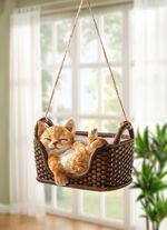 Schlafendes K&auml;tzchen im Korb 