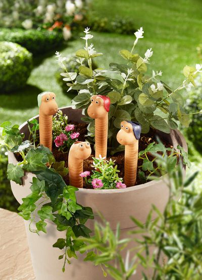 Bew&auml;sserungsw&uuml;rmer aus Terracotta, 4er-Set 