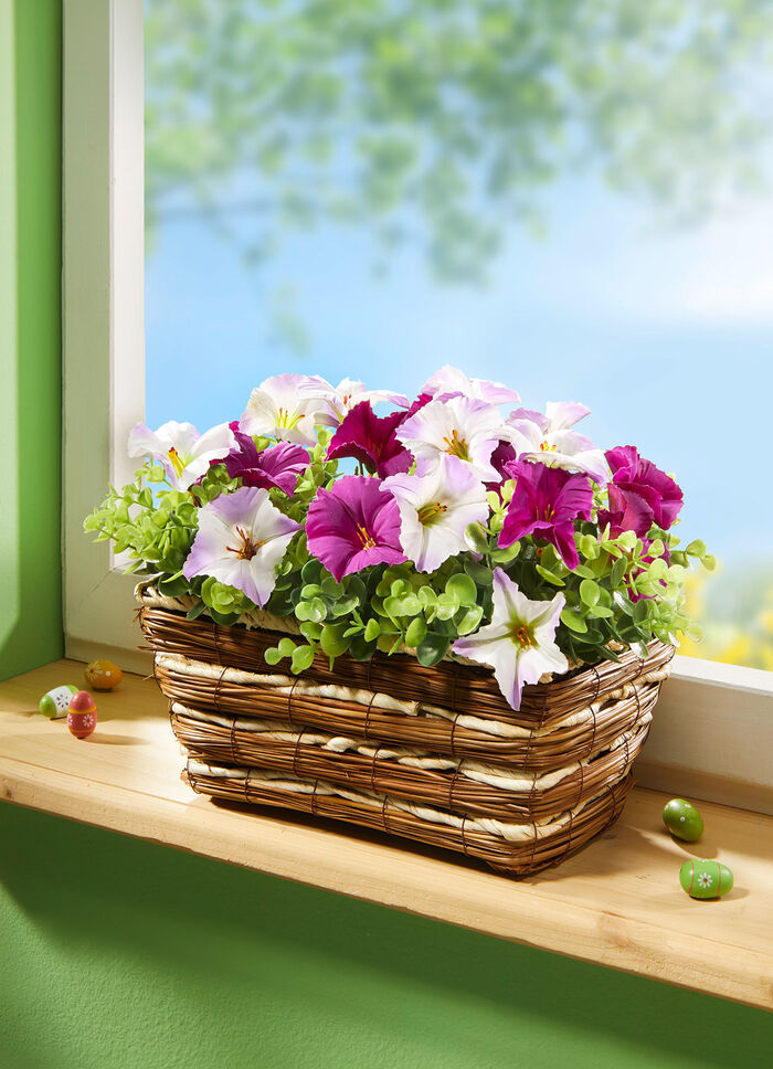 Blumenkasten Petunien 