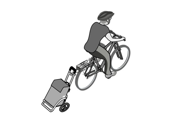 Leichter und leiser Einkaufsroller Royal Shopper GRAU