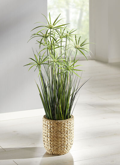 Zyperngras aus hochwertigem Kunstmaterial, im Topf 