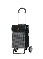 Leichter, aber stabiler Einkaufsroller aus Aluminium 