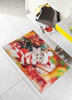 Fu&szlig;matte K&auml;tzchen mit rutschfester R&uuml;ckseite 