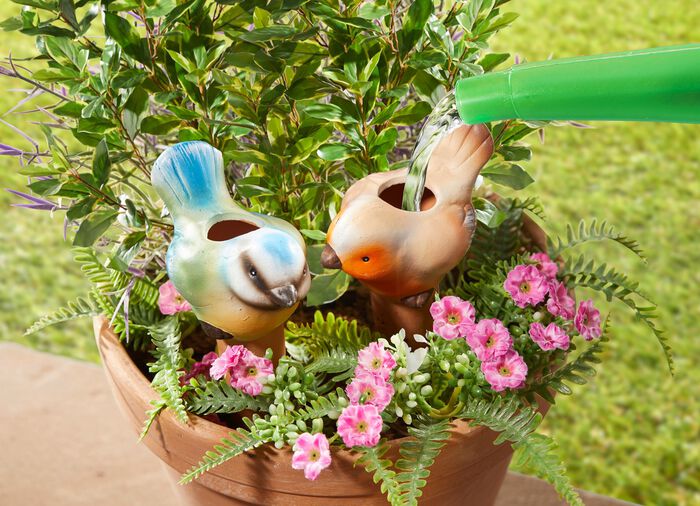 Bew&auml;sserungsv&ouml;gel, 2er-Set 