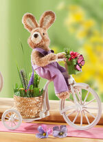 Hase auf Fahrrad BUNT