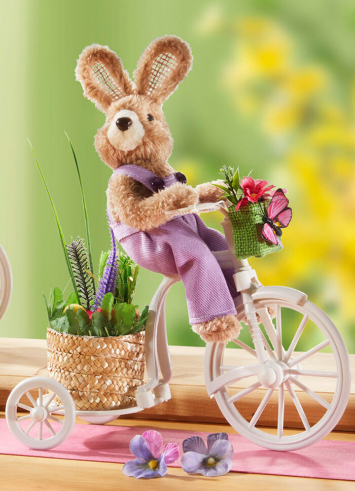 Hase auf Fahrrad BUNT