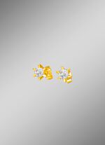 Exquisite Solit&auml;r-Ohrstecker 