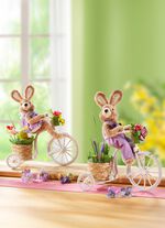 Hase auf Fahrrad BUNT