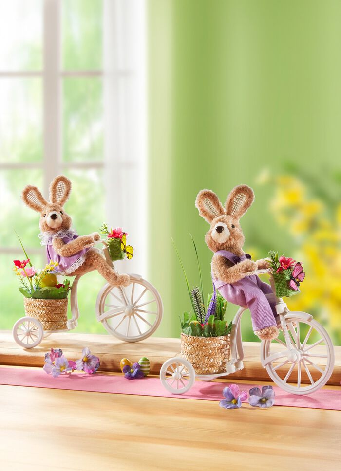 Hase auf Fahrrad BUNT