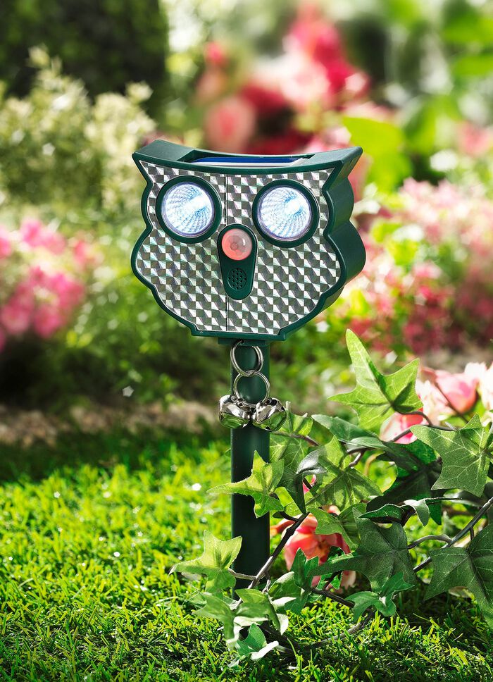 Solar-Ultraschall-Tierschreck Eule 