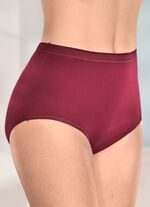 brio lingerie F&uuml;nferpack Slips mit elastischen Abschl&uuml;ssen 