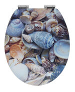 WC-Sitz mit Absenkautomatik 