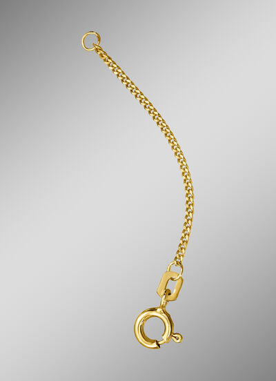 Panzer-Verlängerungskette 