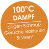 BADERde_DE1Logo_100C_Dampf