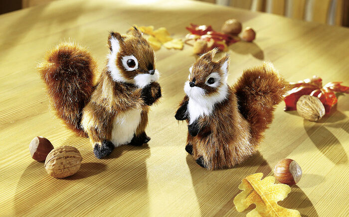 Eichhörnchen, 2er-Set 