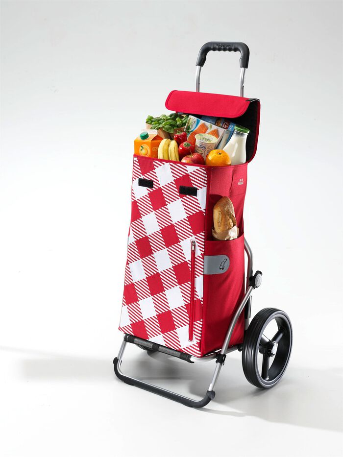 Einkaufsroller 