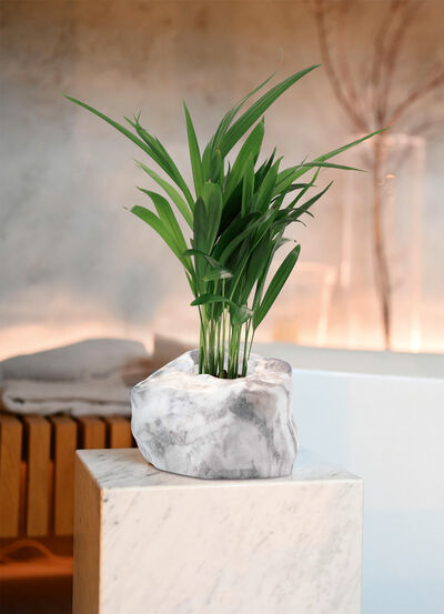 Pflanzenübertopf von Botanyia in edler Naturstein-Optik 