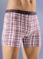 Viererpack Pants mit Elastikbund 