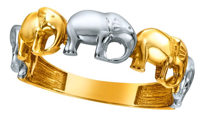 Damenring in Bicolor 