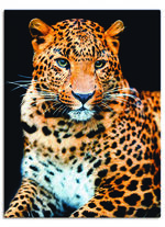 Leinwandbild auf Keilrahmen  