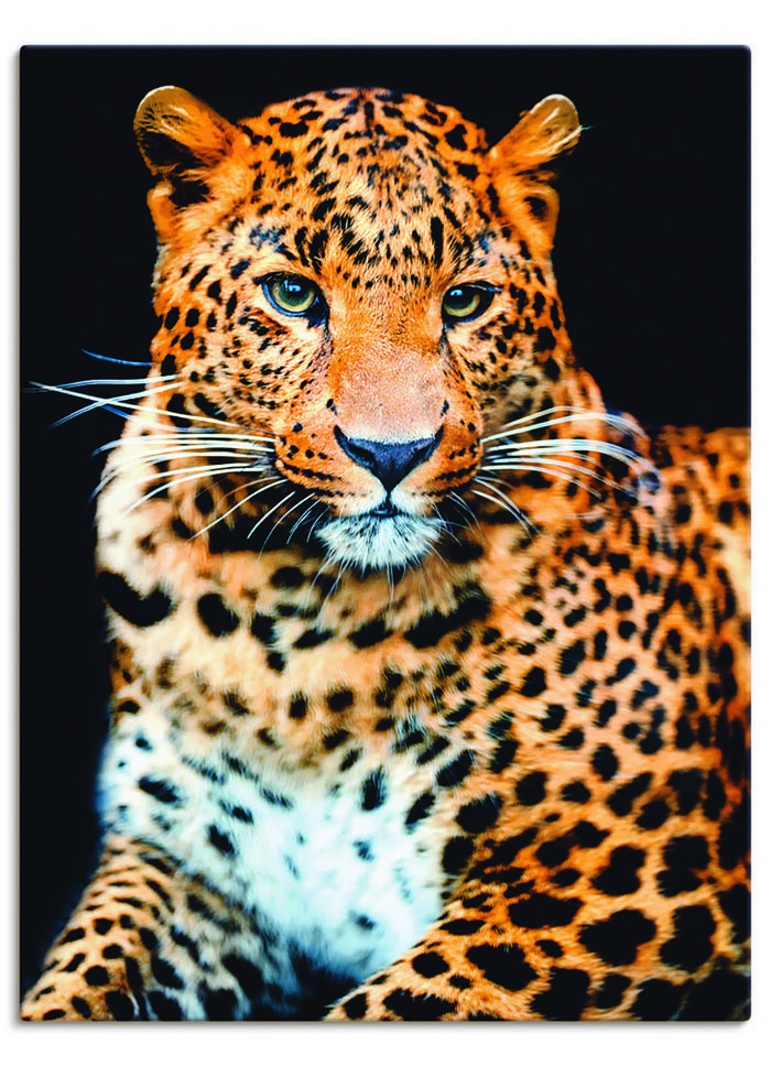 Leinwandbild auf Keilrahmen  