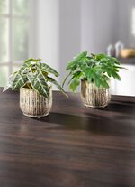 Detailreich gearbeitete Mini-Pflanzen GR&Uuml;N