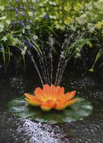 Solar-Seerose in verschiedenen Farben ORANGE