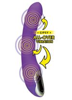 Massageger&auml;t Gipsy-Vibrator 