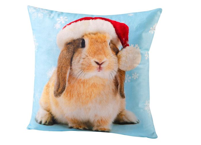 Kissenbez&uuml;ge in Samtoptik mit Rei&szlig;verschluss BUNT