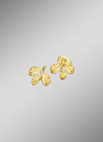 Ohrstecker Bl&auml;tterzweig 