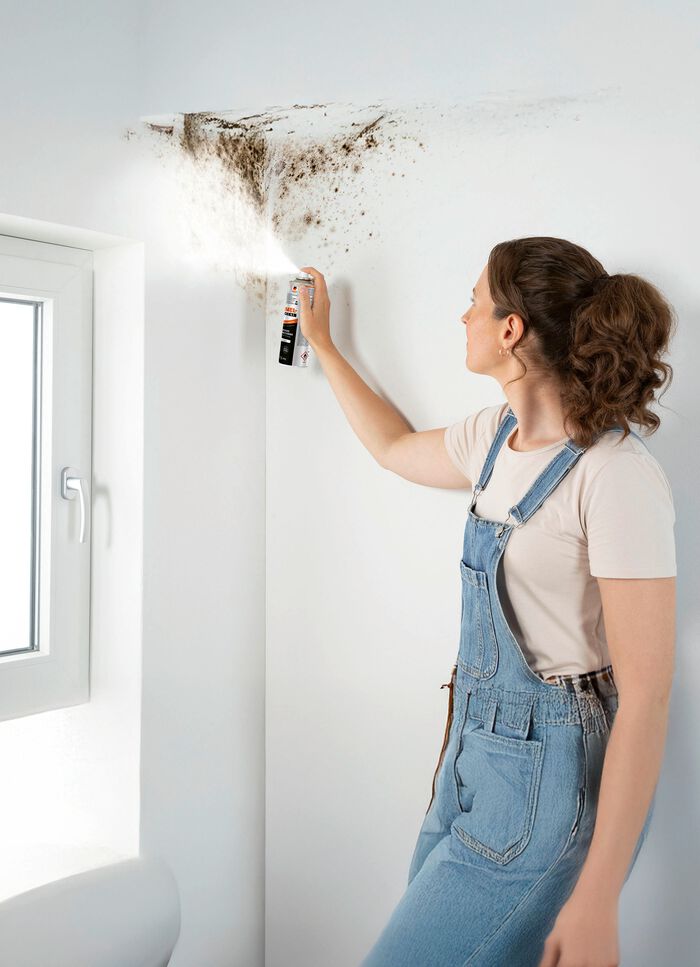 &bdquo;Tonis Schimmelschock 5.1"  in Spr&uuml;hdose, 300 ml 