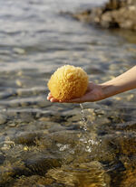 Badeschwamm aus natürlichem Material NATUR