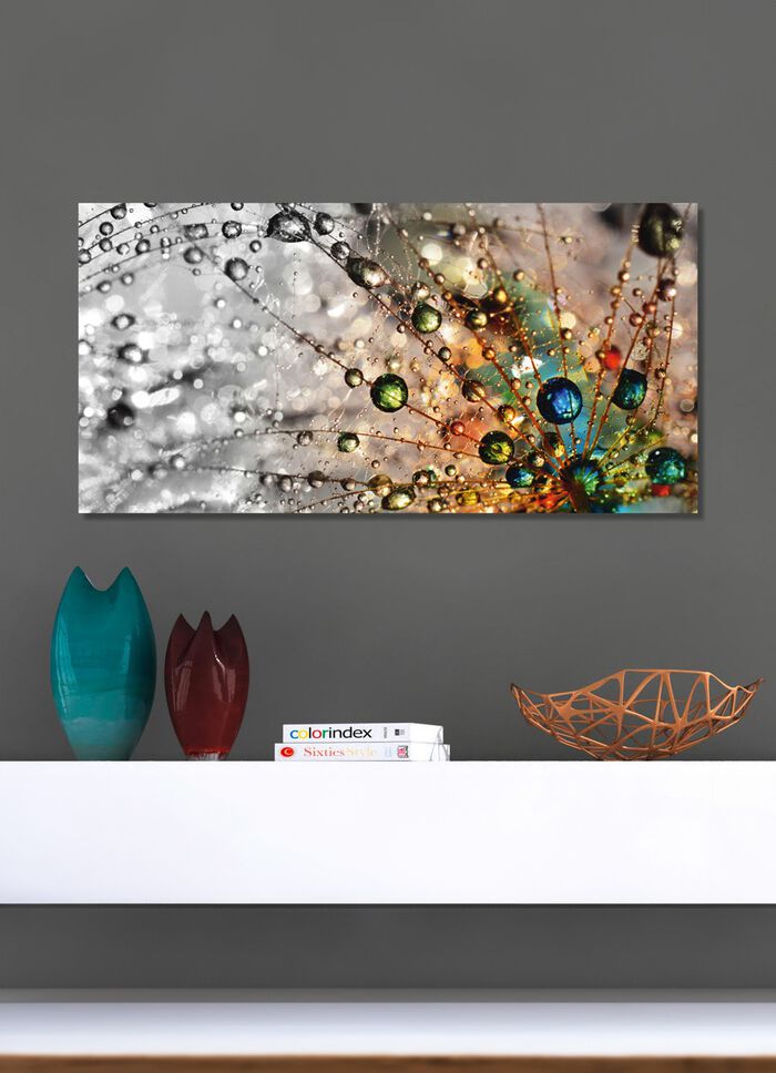 Bild Wassertropfen auf einer Pusteblume 