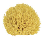 Badeschwamm aus natürlichem Material NATUR