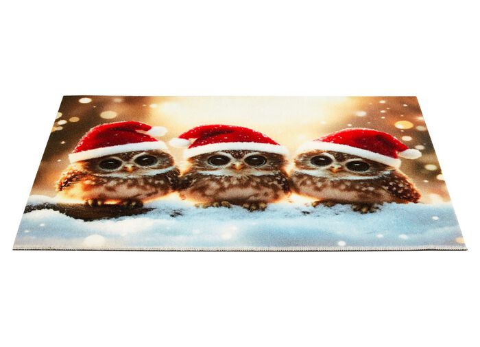 Fußmatte mit rutschhemmender Gummi-Rückseite 