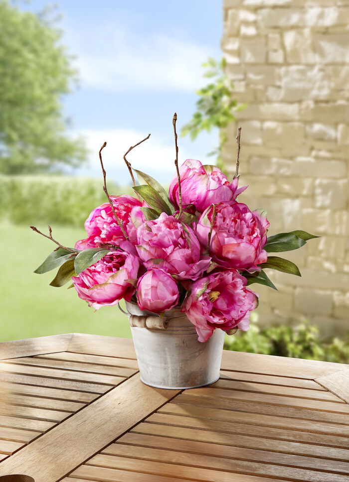 Pfingstrosengesteck im Topf 