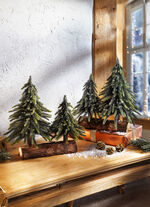 Tannenbäume auf Baumstamm 