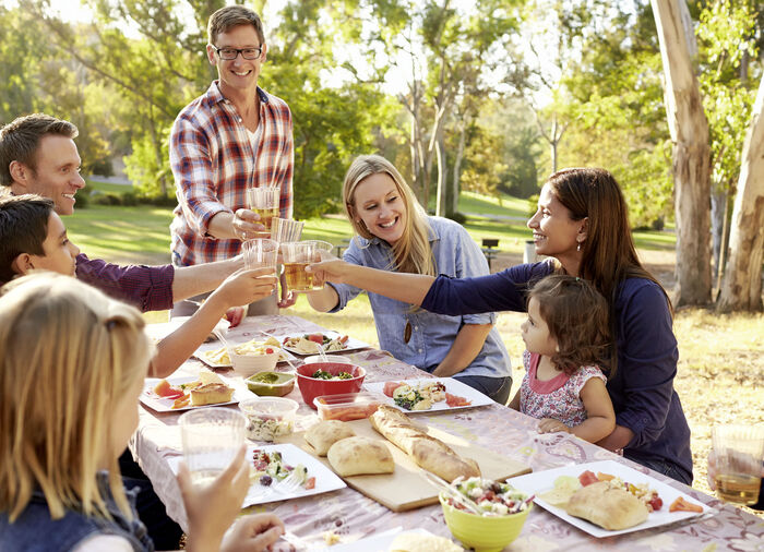 VapoWesp Räucherbox zum Fernhalten von Wespen 