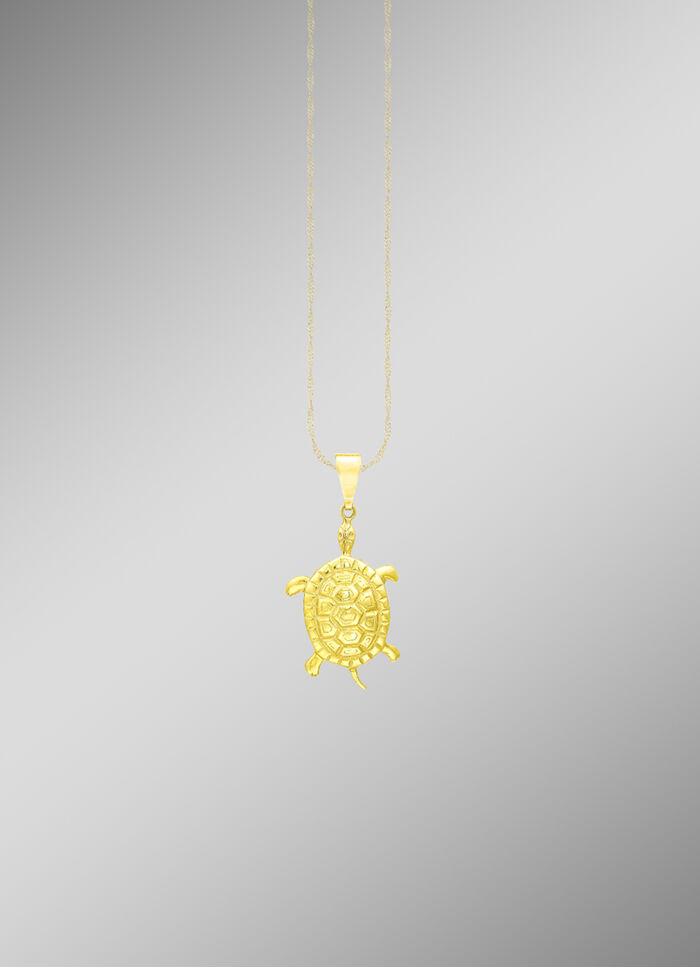 Toller Schildkröten Anhänger 