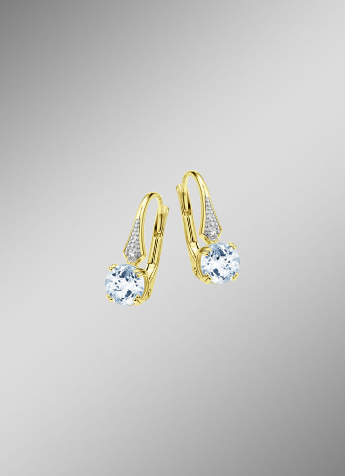 Hinreißende Ohrringe 