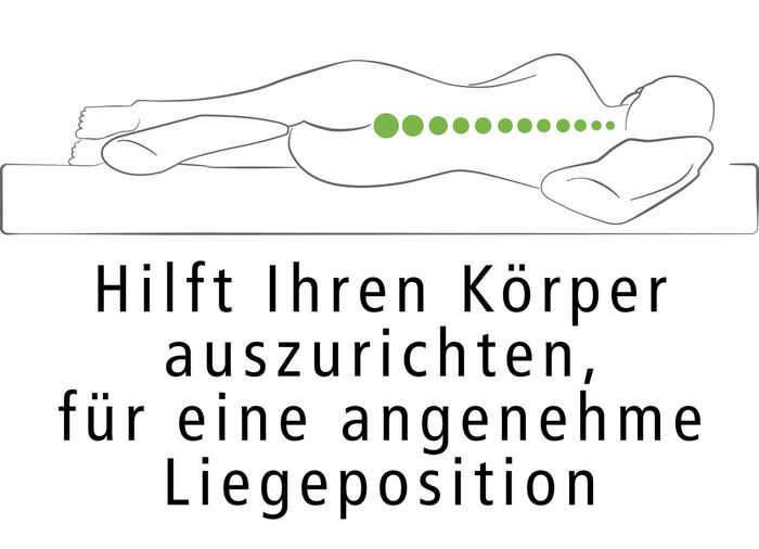 Dreamolino Swan Pillow Ganzkörperkissen 